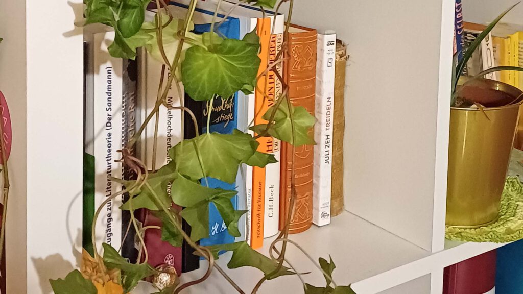 Artikel: Jane Bennett