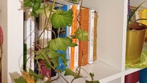 Artikel: Jane Bennett