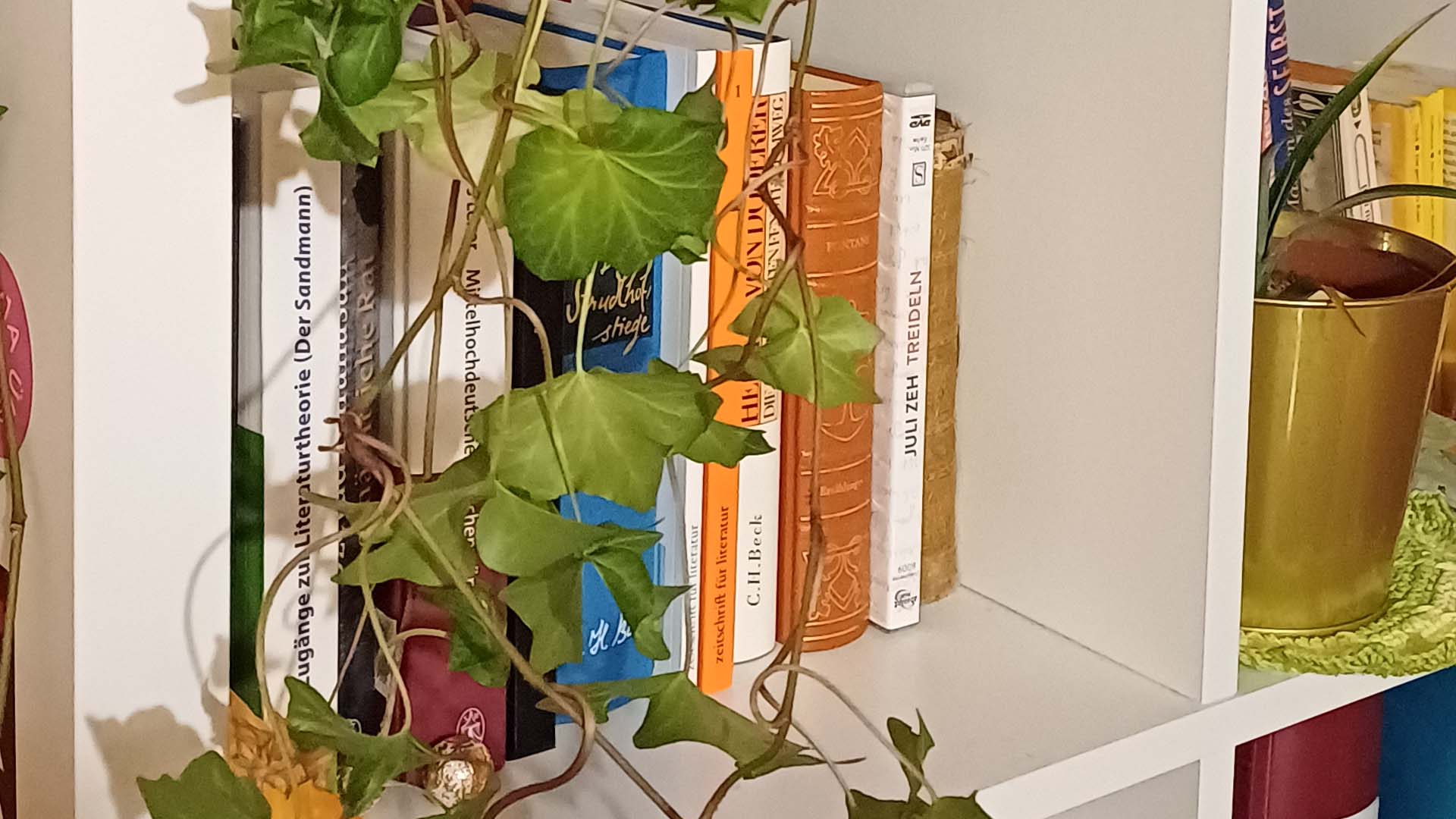 theoriespuren.de | Online-Enzyklopädie Frauen in der Theoriegeschichte - theoriespuren.de Artikel: Jane Bennett