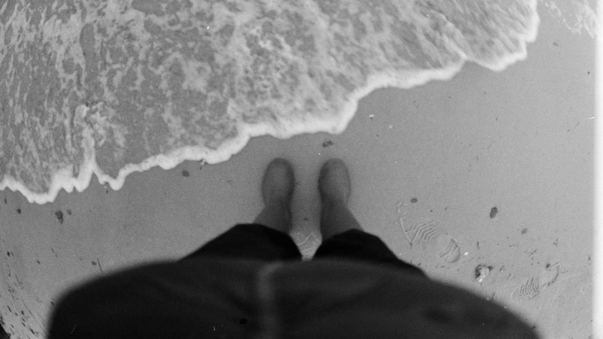 theoriespuren.de | Online-Enzyklopädie Frauen in der Theoriegeschichte - theoriespuren.de Rosi Braidotti